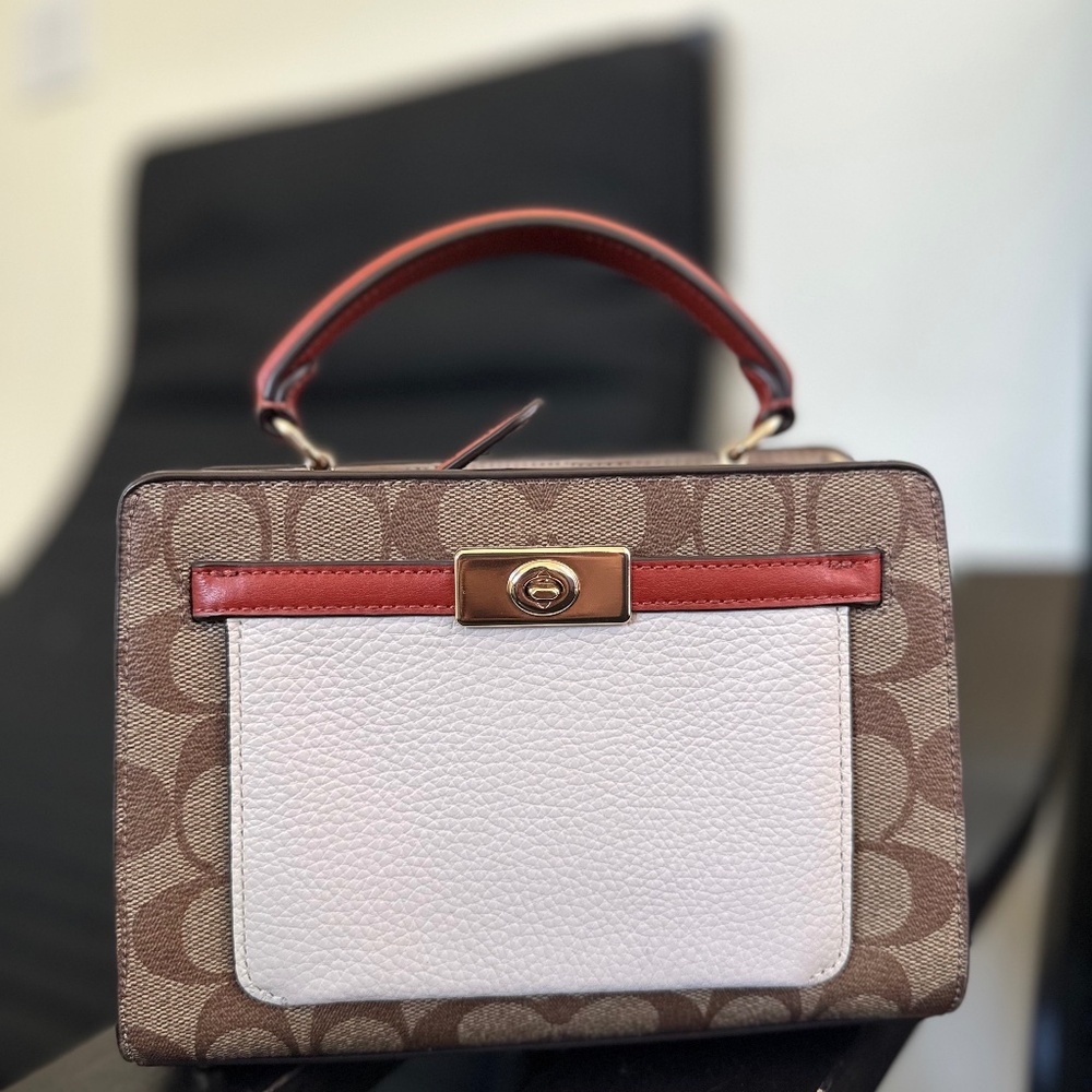 Coach Mini Lane